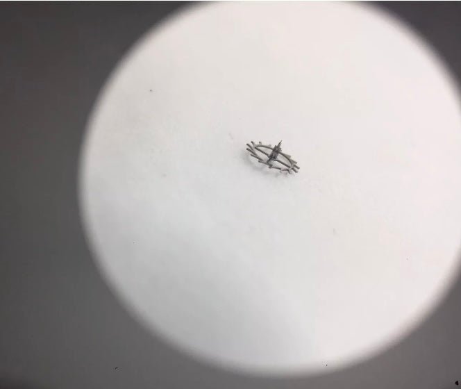 Rolex 1530 - 8051 - Pasquale Parisi