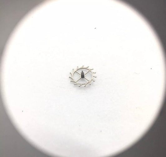 Rolex 1530 - 8051 - Pasquale Parisi