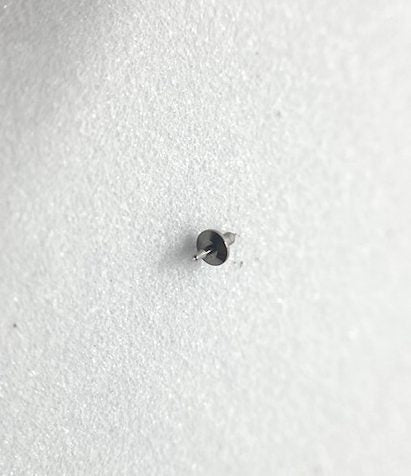 Rolex Originale Calibro 3135 - 429 Asse del Bilanciere - Pasquale Parisi