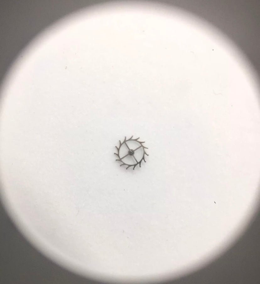 Rolex 1530 - 8051 - Pasquale Parisi