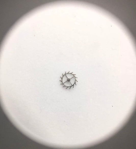 Rolex 1530 - 8051 - Pasquale Parisi