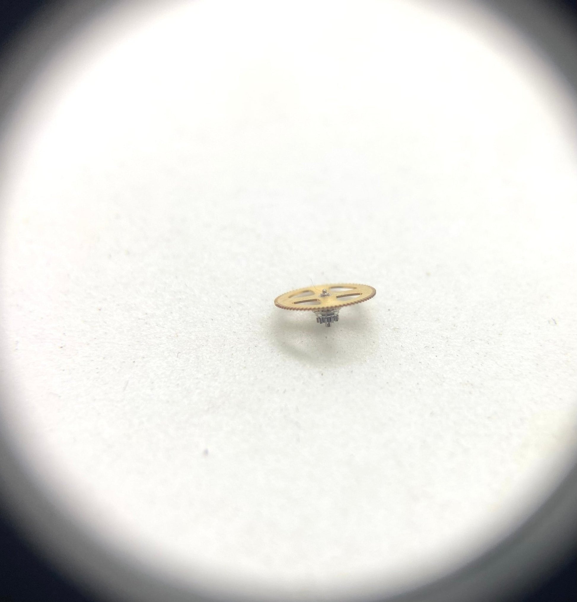 Rolex 3235 - 510 - Pasquale Parisi