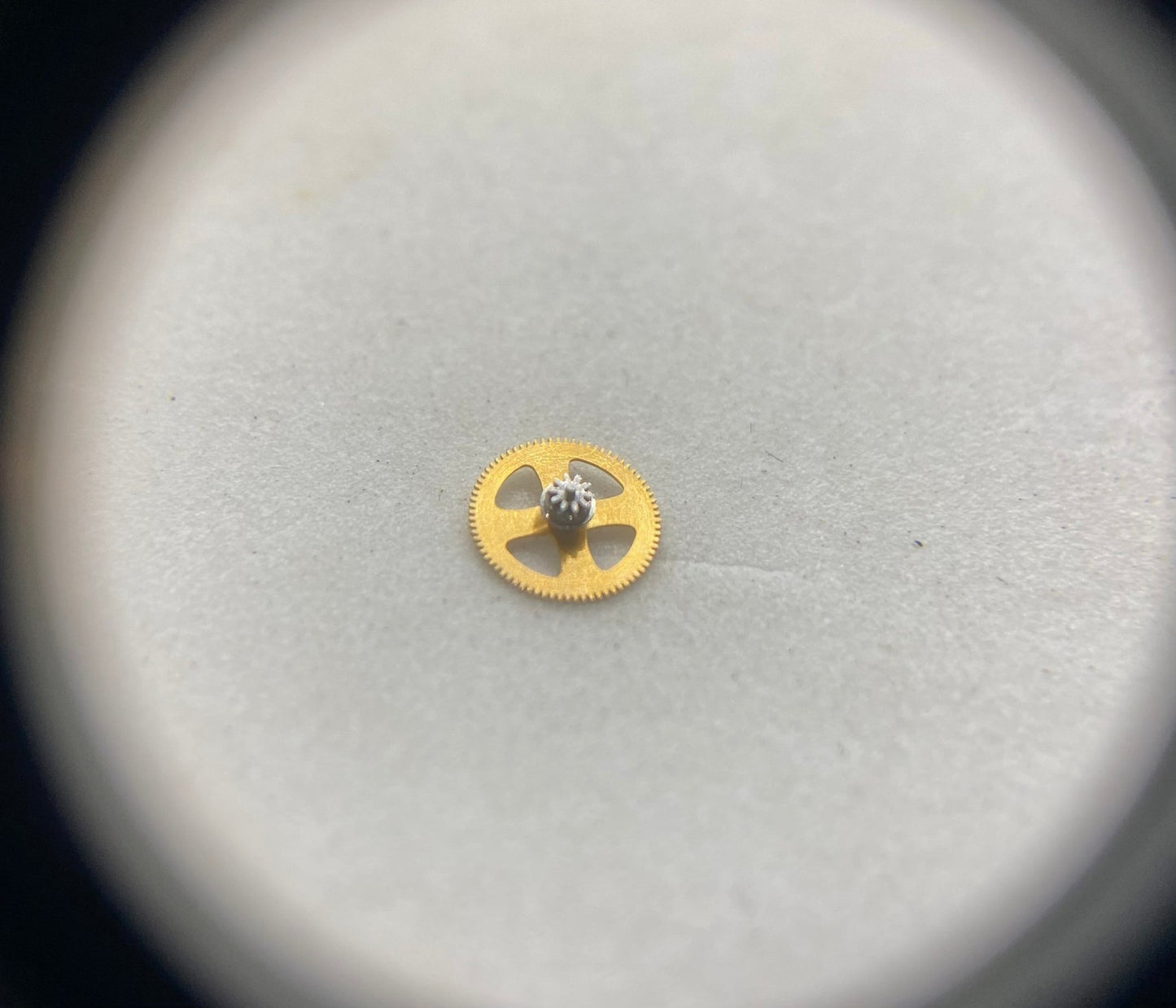 Rolex 3235 - 510 - Pasquale Parisi