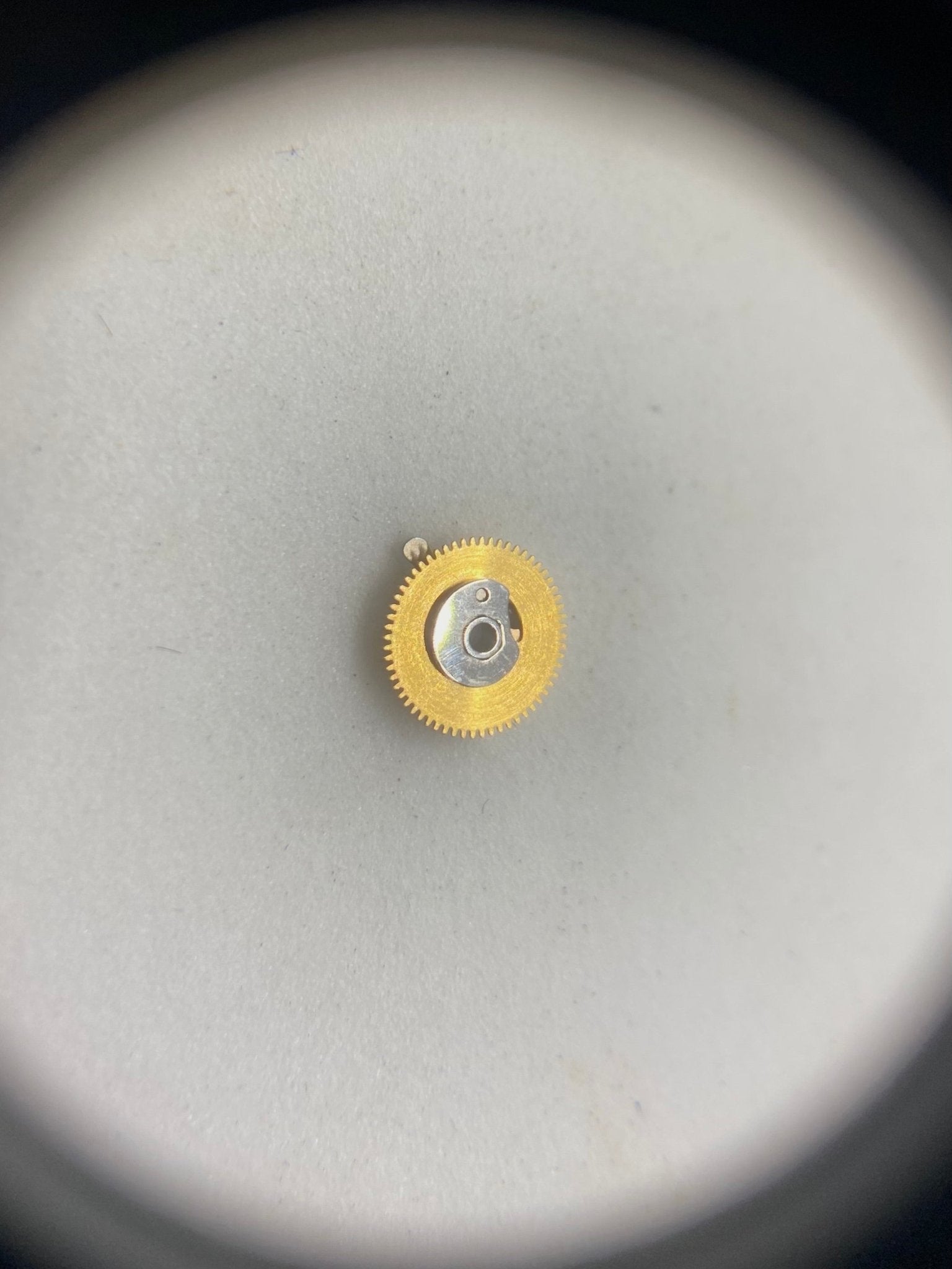 Rolex 3255 - 625 - Pasquale Parisi