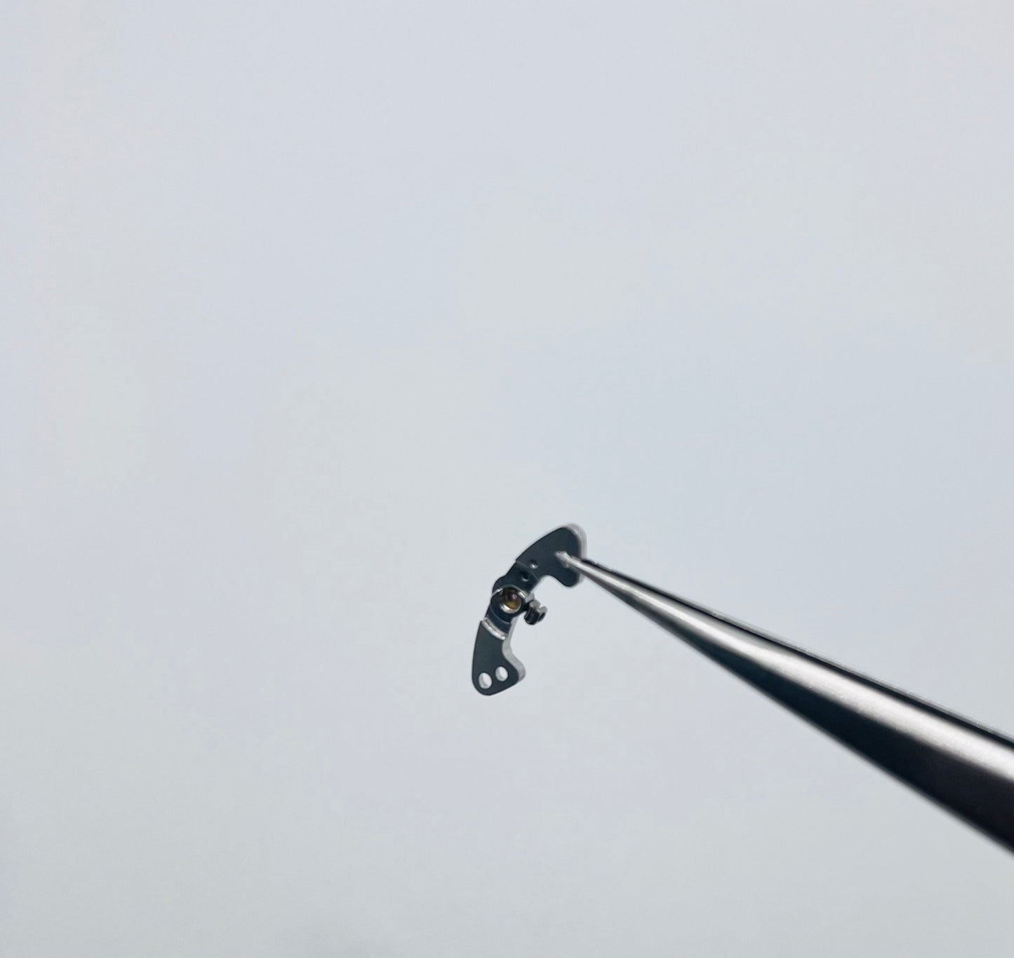 Rolex Originale Calibro 4130-120 Ponte del Bilanciere